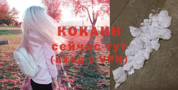 прущий лед Краснослободск