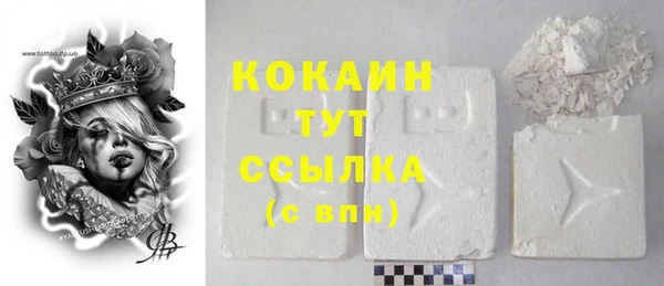 прущий лед Краснослободск