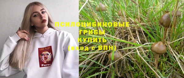 прущий лед Краснослободск